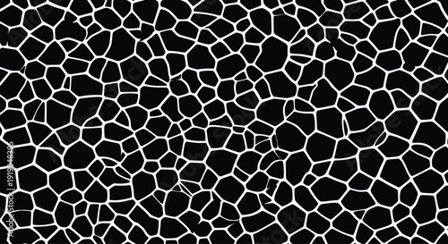Abstract organic cellular pattern featuring black irregular shapes with white outlines for modern stone pavement texture biological cell background and creative graphic design
