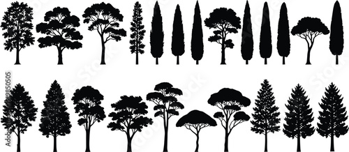 Large collection of black tree silhouettes, coniferous and deciduous forest plants, outdoor nature landscape elements for garden, park and architectural design,