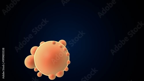 Female Ovum with sperms Structure and Function anatomy. 3d illustrations
