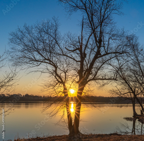 sunrise sunburst through the trees on the lake 