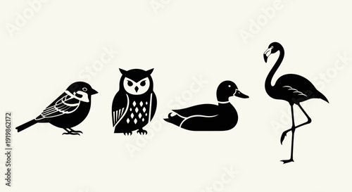 Black Silhouette Birds Standing and Sitting.