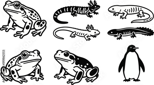 Artistic Monochrome Amphibian and Penguin Specimen Illustrations