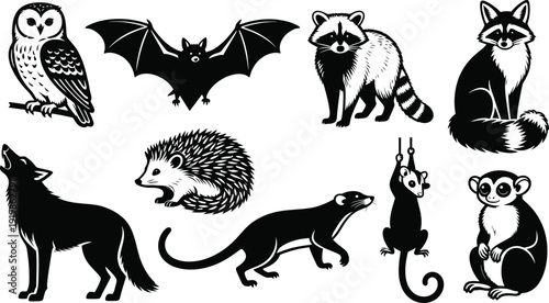 Nocturnal Forest Creatures and Wild Woodland Mammal Silhouette Graphics