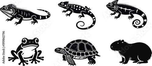 Monochrome Tropical Herpetofauna and Exotic Reptilian Species Silhouette Collection