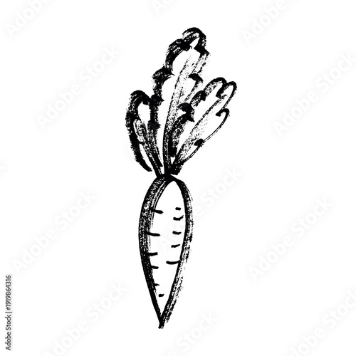 Hand drawn farm carrot plant with green leaves Fresh vegetable doodle Healthy eco food Organic garden vegetarian food For design, print, packaging, decor, kids books, coloring pages