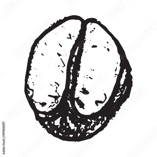 Hand drawn fresh roasted coffee bean Arabica robusta seed doodle Single element for print, web, design, decor