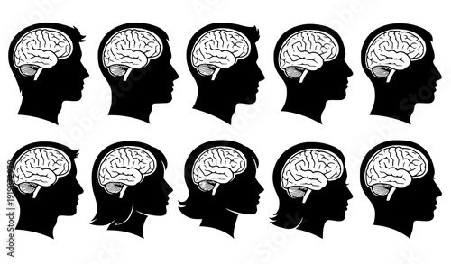 SEO Title
Human head silhouette with visible brain anatomy medical vector illustration set isolated on white background