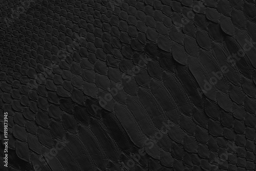 black snake skin background...
