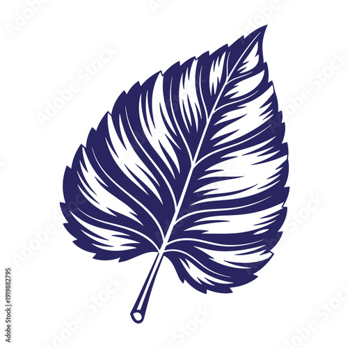 large dark blue leaf with white accents on white background for design and decoration purposes