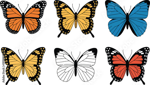 Colorful Butterfly Collection – Monarch and Swallowtail Species Vector Set