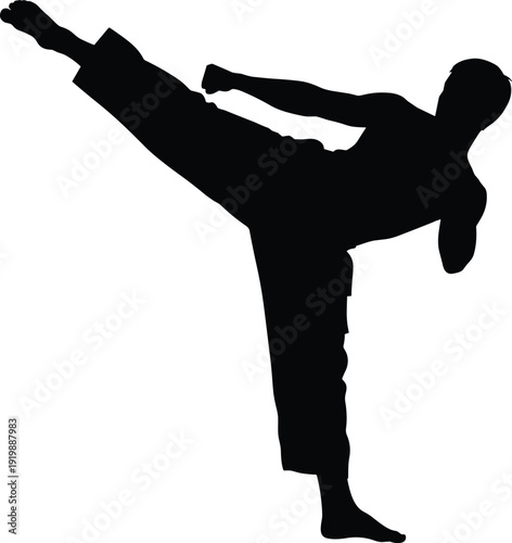 Martial Arts Karate Fighter Silhouette Performing High Side Kick Vector Illustration For Taekwondo Kung Fu Sports Training And Combat Competition