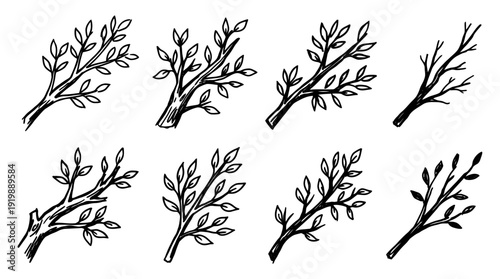 branch, bold style black Hand drawn set collection , white background , vector isolate