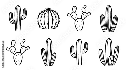 cactus, bold style black Hand drawn set collection , white background , vector isolate