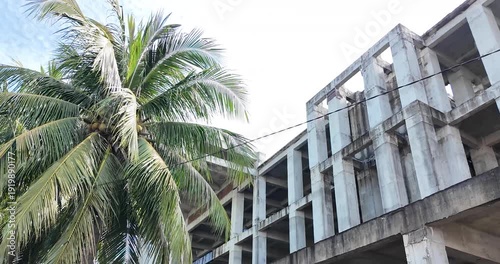 Palm tree standing beside a concrete building under construction.