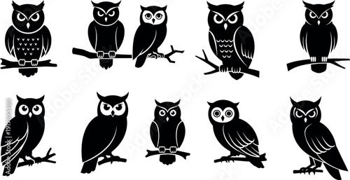 Collection of nine unique owl silhouettes perched on branches
