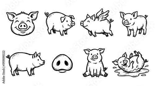 pig, bold style black Hand drawn set collection , white background , vector isolate
