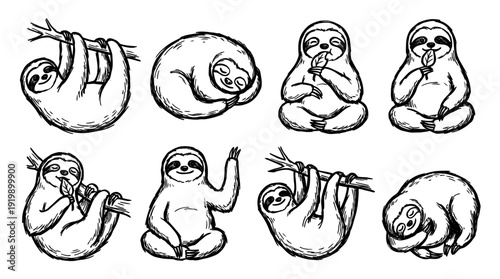 sloth, bold style black Hand drawn set collection , white background , vector isolate