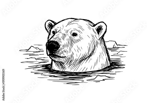 polar bear hand drawn simple sketch vector illustration