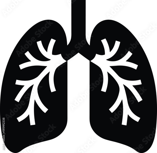 Black and white of human lungs with branching airways respiratory system anatomy