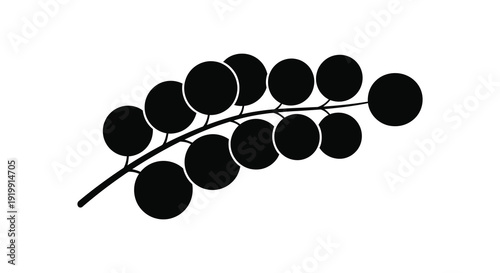 A simple black and white illustration depicts a curved stem with numerous round dark berries or fruits