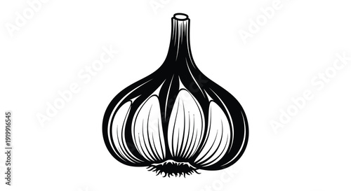 A detailed black and white illustration showcases a single bulb of garlic featuring distinct cloves and a stem