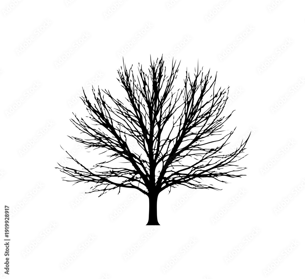 Obraz premium Minimalist Black Leafless Tree Vector Illustration