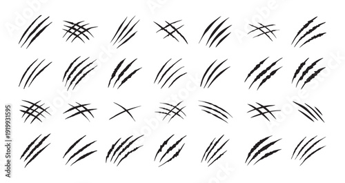 Claw scratches isolated. Black Bear tiger claws trails, animal scratched white paper. Flat scratch marks, racy wild beast tracks clipart