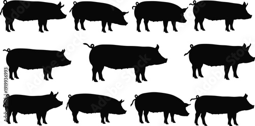 Black Pig Silhouettes Set Featuring Various Farm Animal Profiles Hog Vector Icons Collection for Agriculture Livestock Farming Meat Industry and Rural Countryside Graphic Design