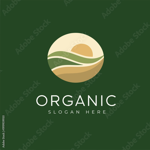 Naturally Grown Organic Cotton Field Under a Bright Blue Sky, Agricultural Landscape