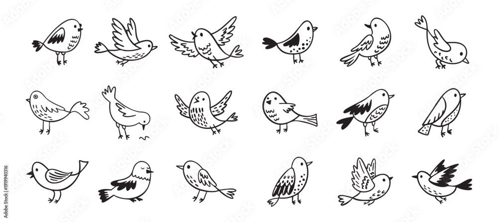 Fototapeta premium Bird doodle set. Birds hand drawn collection. Cute hand drawn bird doodles. Black on white drawing