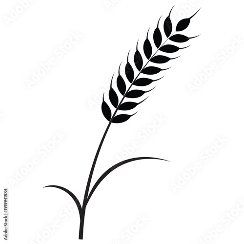  Wheat Silhouette Vector Illustration. Minimal  wheat  silhouette with leaves, isolated on white background, ideal for agriculture, farming, food, and organic branding concepts.