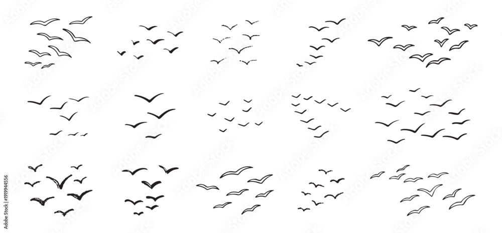 Φωτογραφία Birds flying line in the sky set
