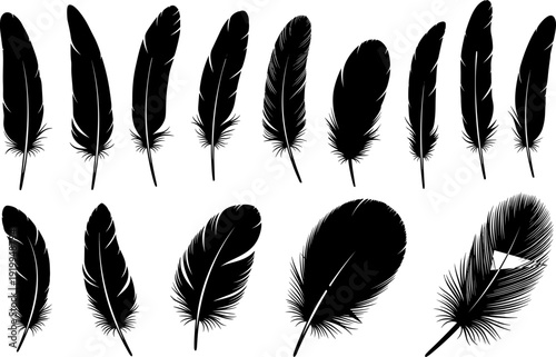 Detailed bird feather silhouettes set isolated on white background for wildlife nature plume decoration quill pen and wing vector design