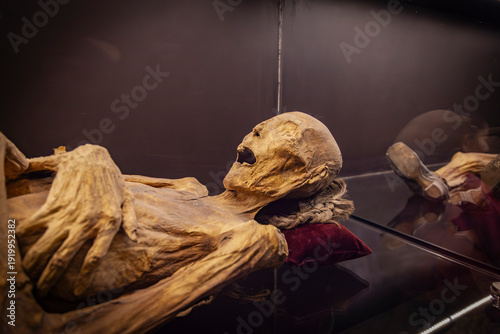 Las Momias de Guanajuato – Patrimonio Cultural e Historia Antropológica de México