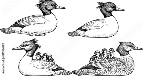 Black octopus silhouette set, sea creature collection, kraken vector icons, marine animal illustrations, cephalopod sketches, aquatic life graphics, nautical design elements.