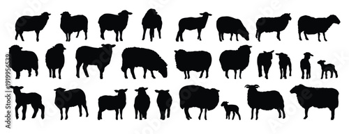 sheep silhouette set. sheep and lamb isolated farm animal silhouette icon vector collection