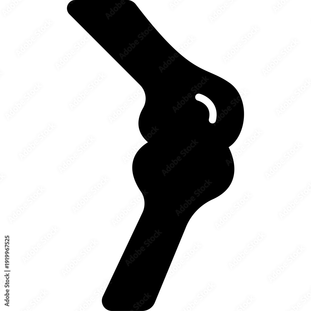 Fotografie Bones Skeleton Anatomy Fill Icon: Human Body Structure