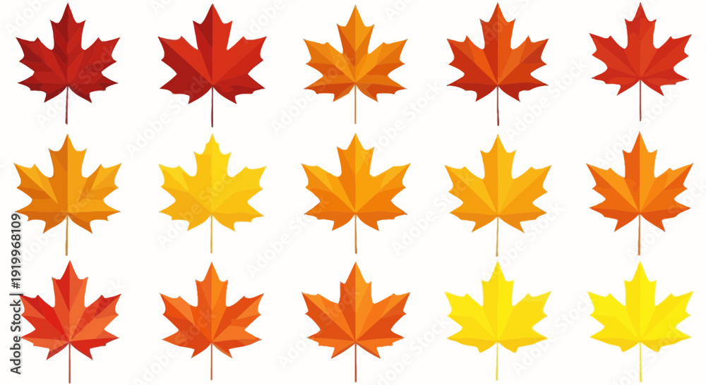 Fototapeta premium autumn leaves, fall foliage, maple leaf background