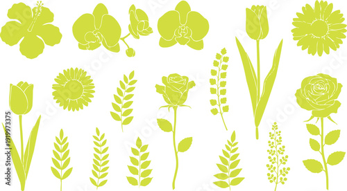The image shows a collection of flower silhouettes, done in light green on a clean white background.