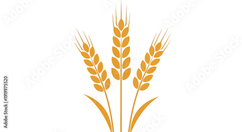 Golden stylized illustration of three mature wheat stalks symbolizing agriculture harvest grain production and natural organic nutrition