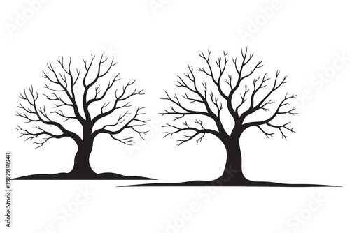Leafless winter tree black silhouette isolated natural landscape design
