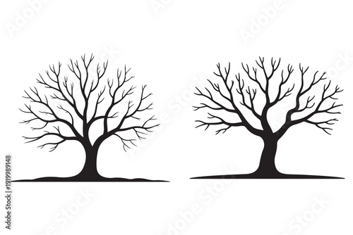 Leafless winter tree black silhouette isolated natural landscape design
