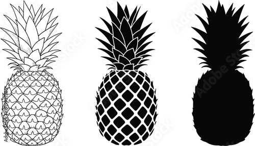 Pineapple engraving outline solid silhouette set hand drawn tropical fruit vintage vector illustration collection