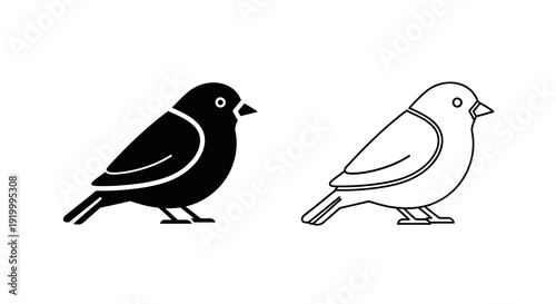 Two birds, one black and one white, standing on a branch, side by side, illustration Vector