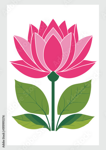 Pink lotus flower vector illustration isolated on white background