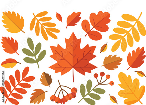 Autumn leaves and berries collection in vibrant fall colors isolated on white background vector art