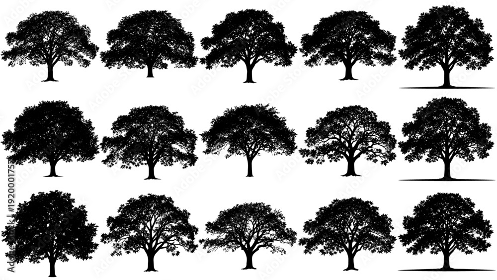 Fototapeta premium Vector set of full maple tree silhouettes in bold black, featuring rich foliage and clean outlines, perfect for autumn themes, nature scenes, and branding projects.