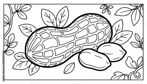 Detailed vector illustration design featuring a whole peanut pod and shelled kernels surrounded by foliage.