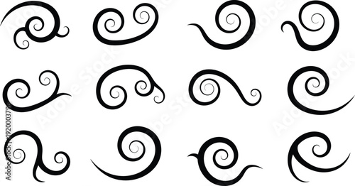 Collection of various swirl shapes and designs in black on white background