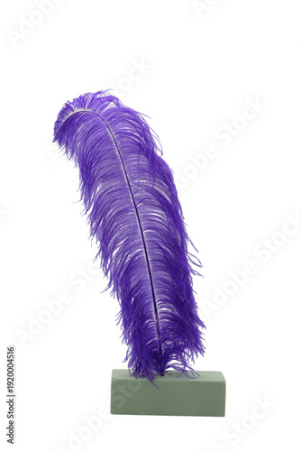 Violet Purple Feather Isolated on Transparent Background